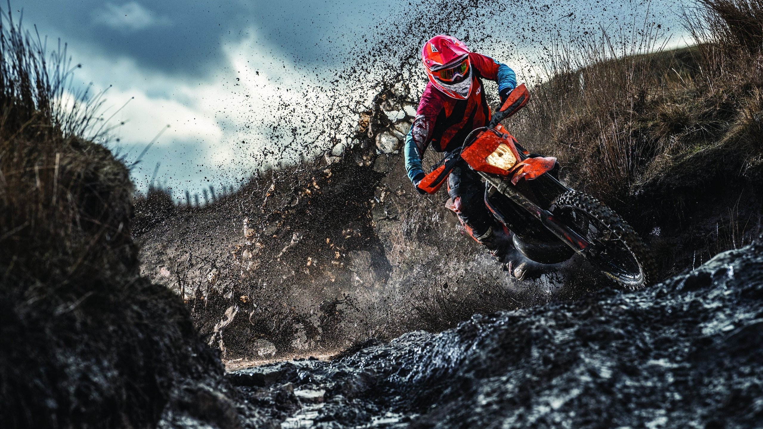 新赛季揭幕战,F1引擎轰鸣与CBA狂胜背后的体育变革密码